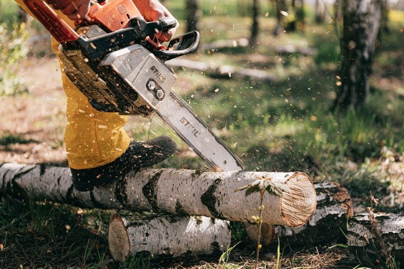 Chainsaw in action cutting wood