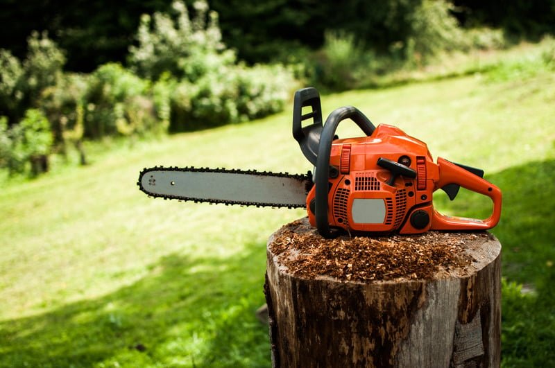 Professional Chainsaw Service